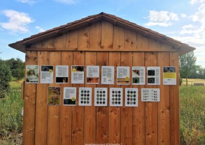Insektenwand Rückseite | Gerd Hardt