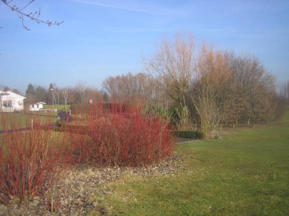 Es gibt viel zu sehen. Schauen wir´s uns an. (Golf-Club Main-Taunus)