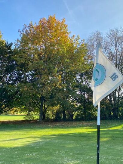 Grün Bahn 18 – Baum des Jahres 2025 Amerikanische Roteiche (Golf-Club Main-Taunus)
