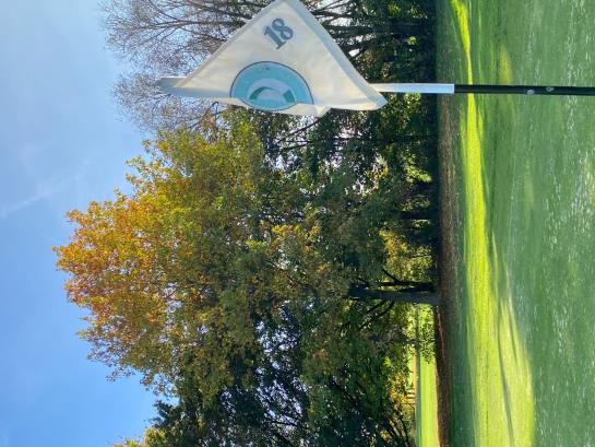 Grün Bahn 18 – Baum des Jahres 2025 Amerikanische Roteiche (Golf-Club Main-Taunus)