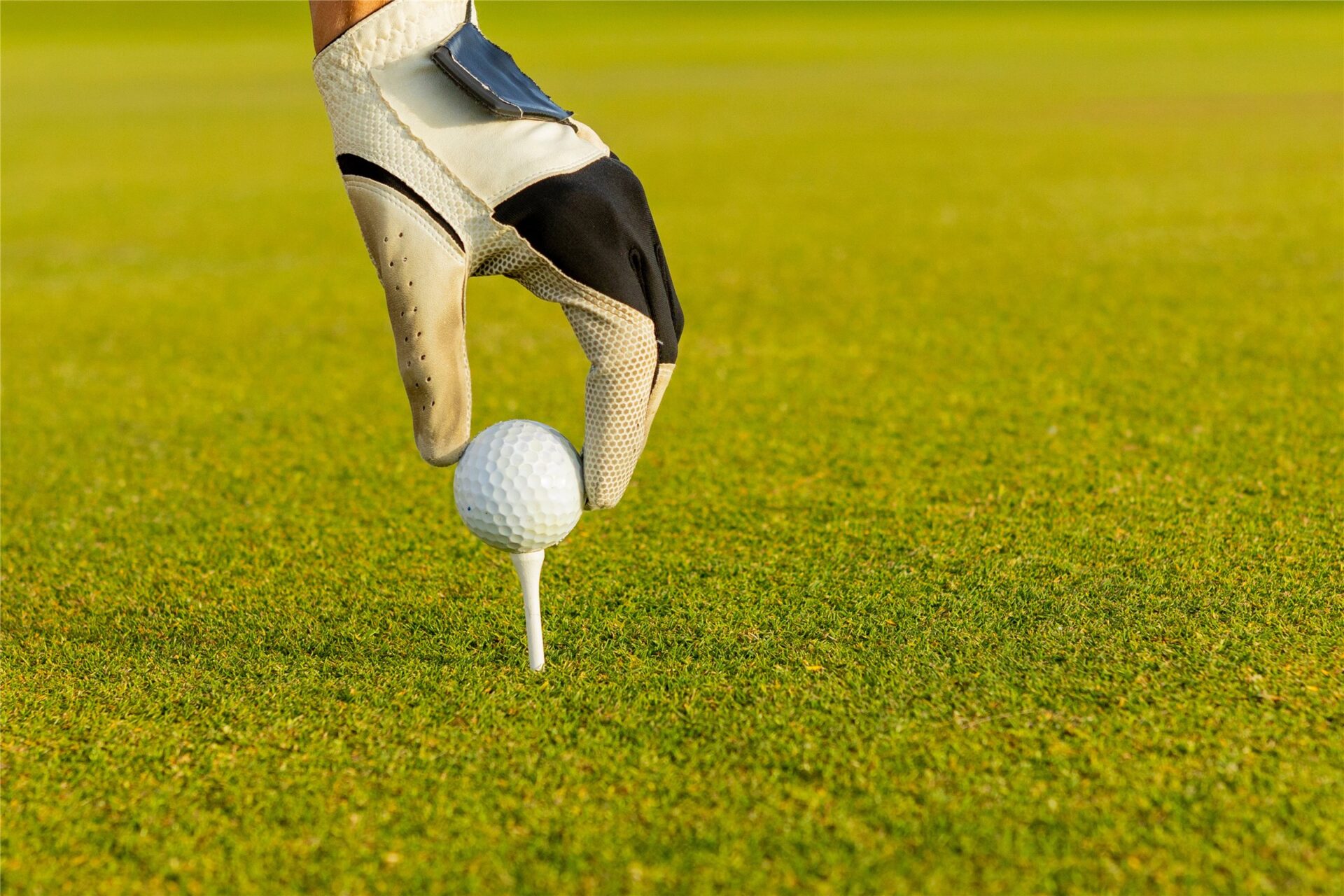 Golfball auf dem Tee